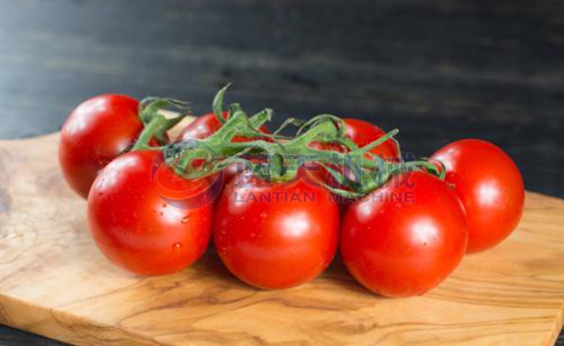 tomato washing machine wash effect