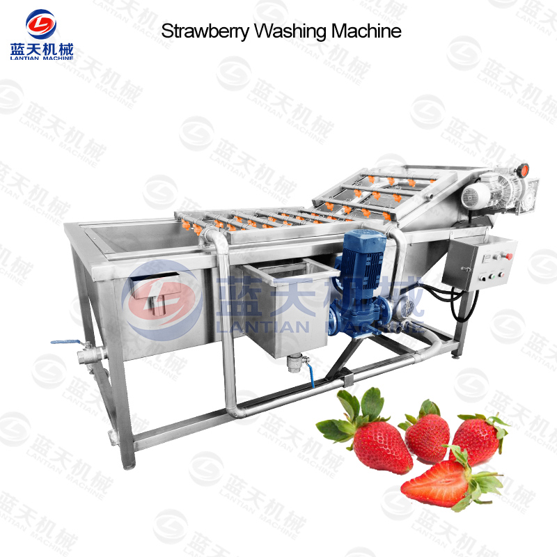 Strawberry Washing Machine