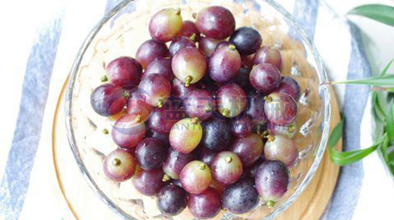 grape washing machine wash effect