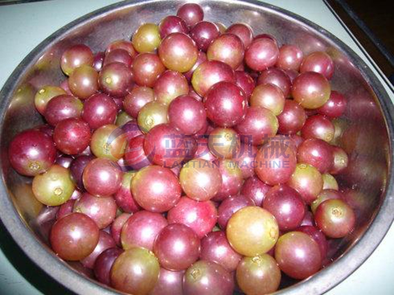 grape washing machine wash effect