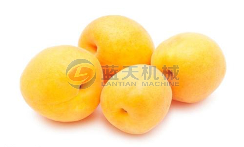 apricot washing machine wash effect