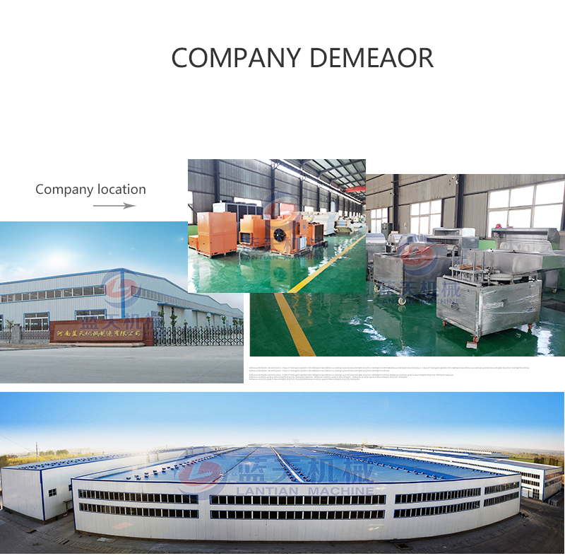 grape washing machine manufacturer