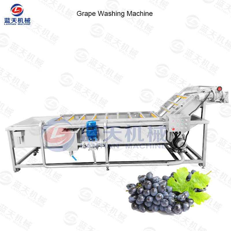 Grape Washing Machine