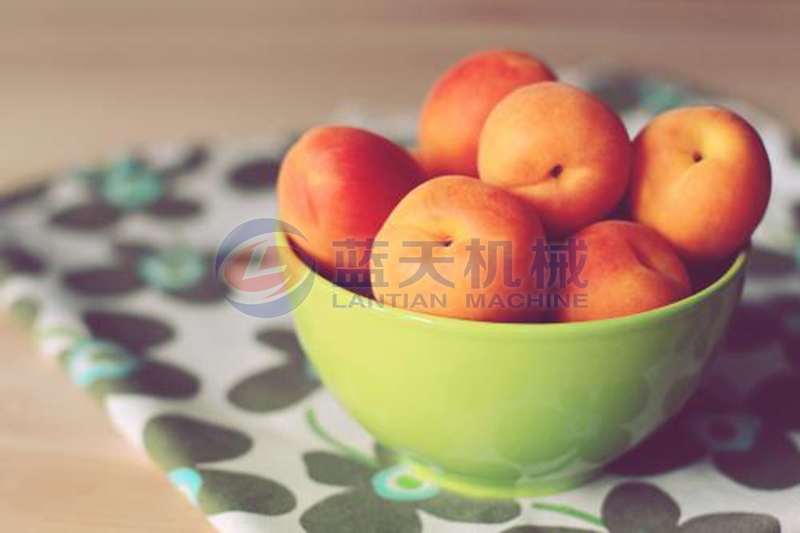 apricot washing machine wash effect