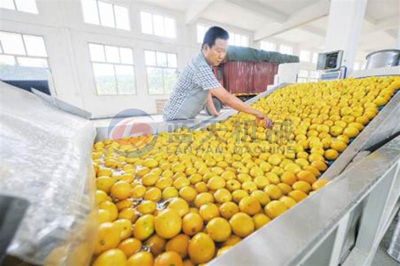 lemon washing 