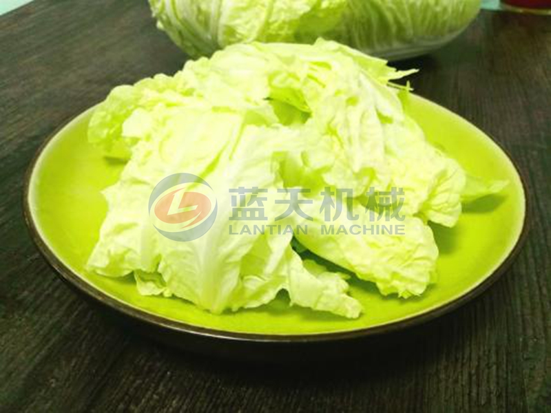 cabbage washing machine wash effect