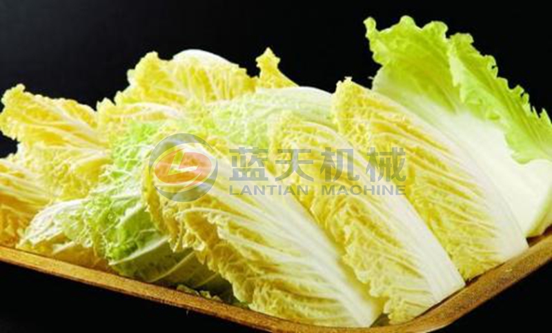 cabbage washing machine wash effect