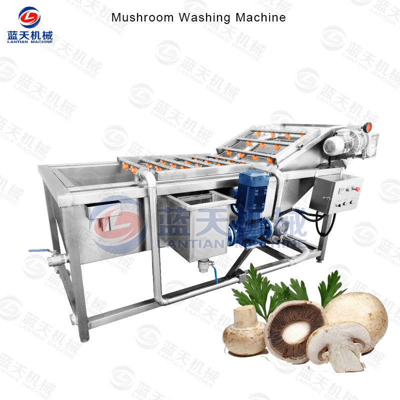 mushroom washing machine