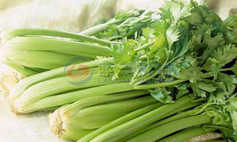 celery washing machine wash effect