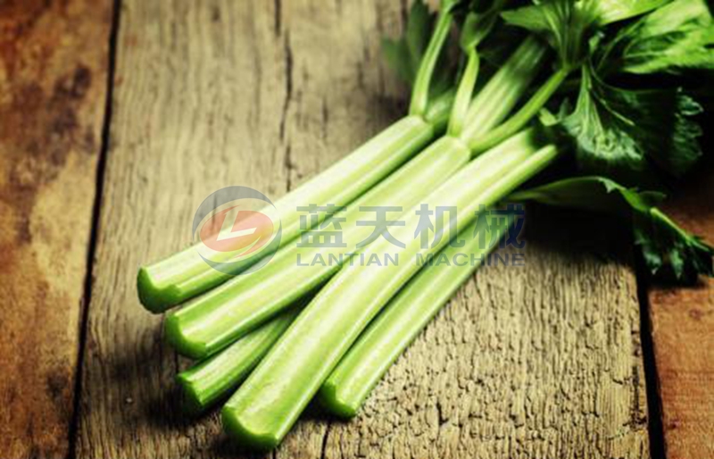 celery washing machine wash effect