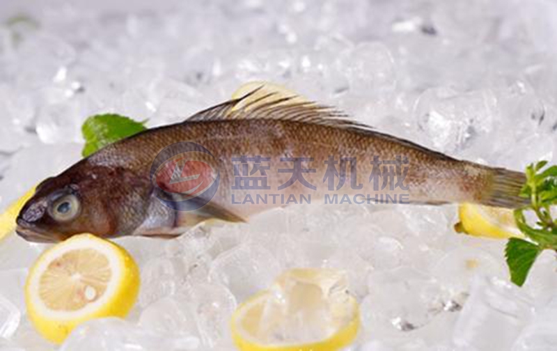 fish cold storage freezing effect