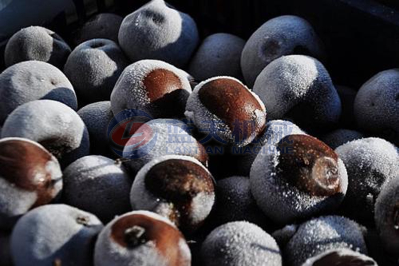 fruit cold storage freezing effect