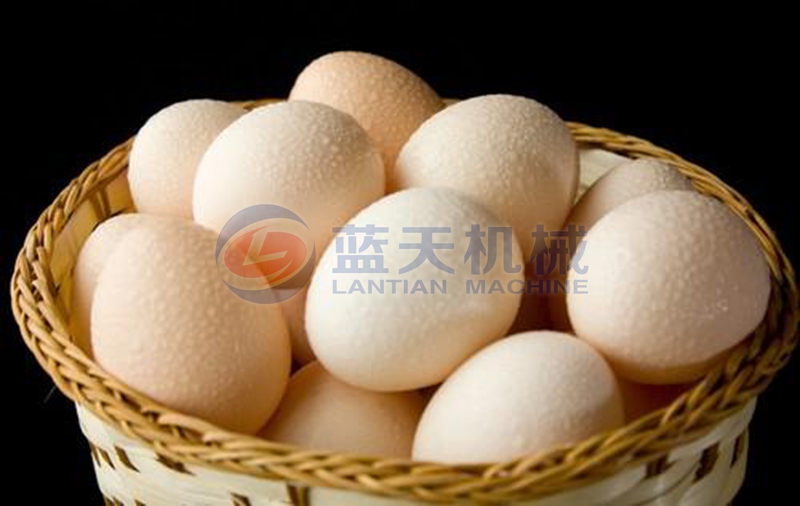 egg cold storage Freezing effect