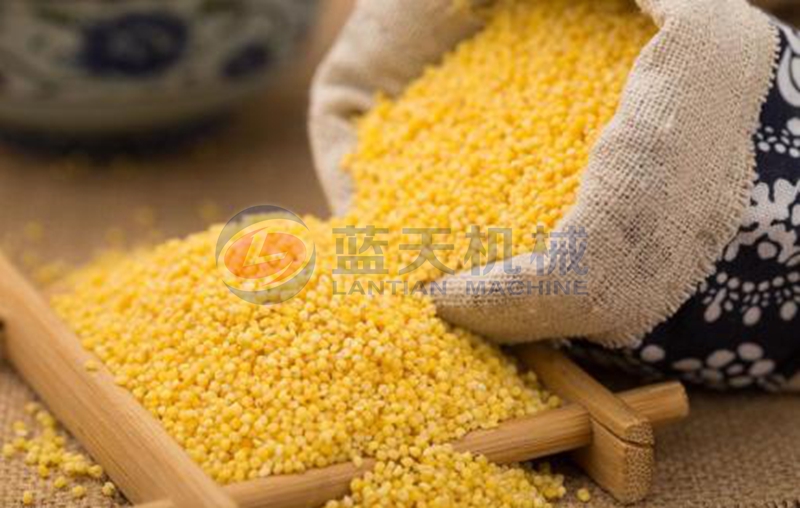 millet dryer drying effect