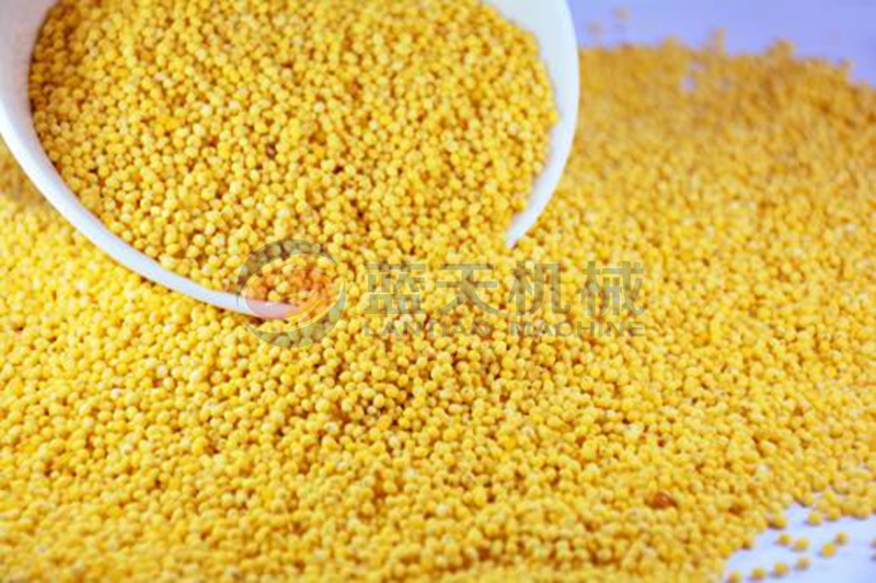 millet dryer drying effect