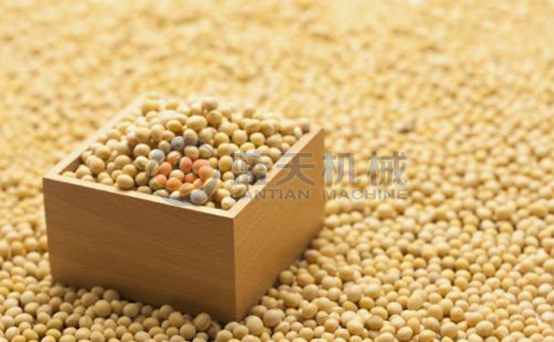 soybean dryer drying effect