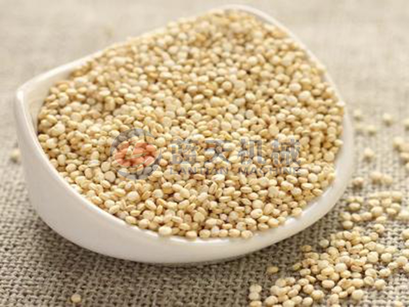 quinoa dryer drying effect