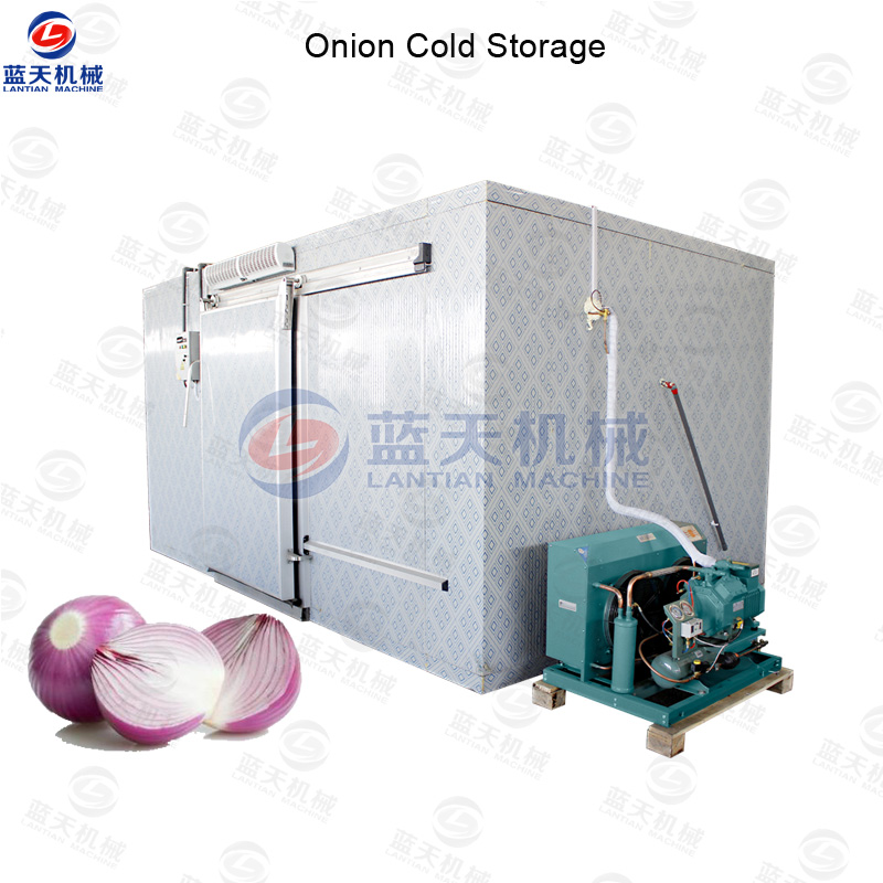 onion cold storage