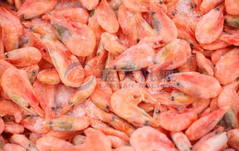 shrimp freezer freezing effect