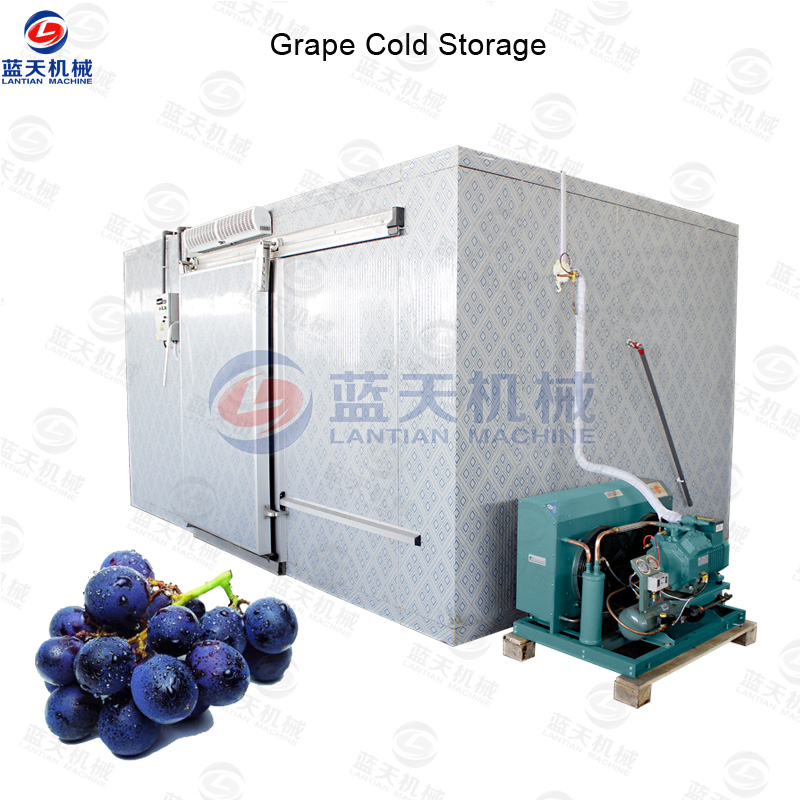 Grape Cold Storage