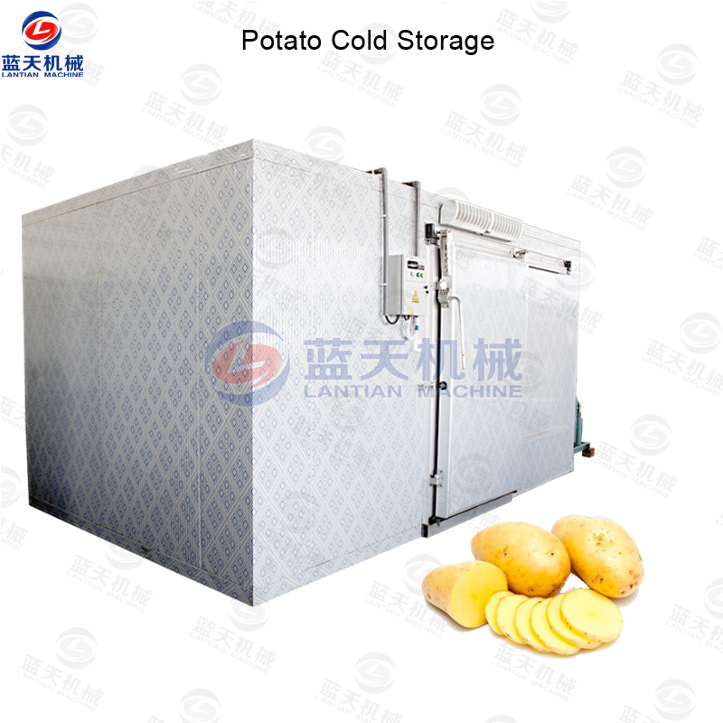 potato cold storage 