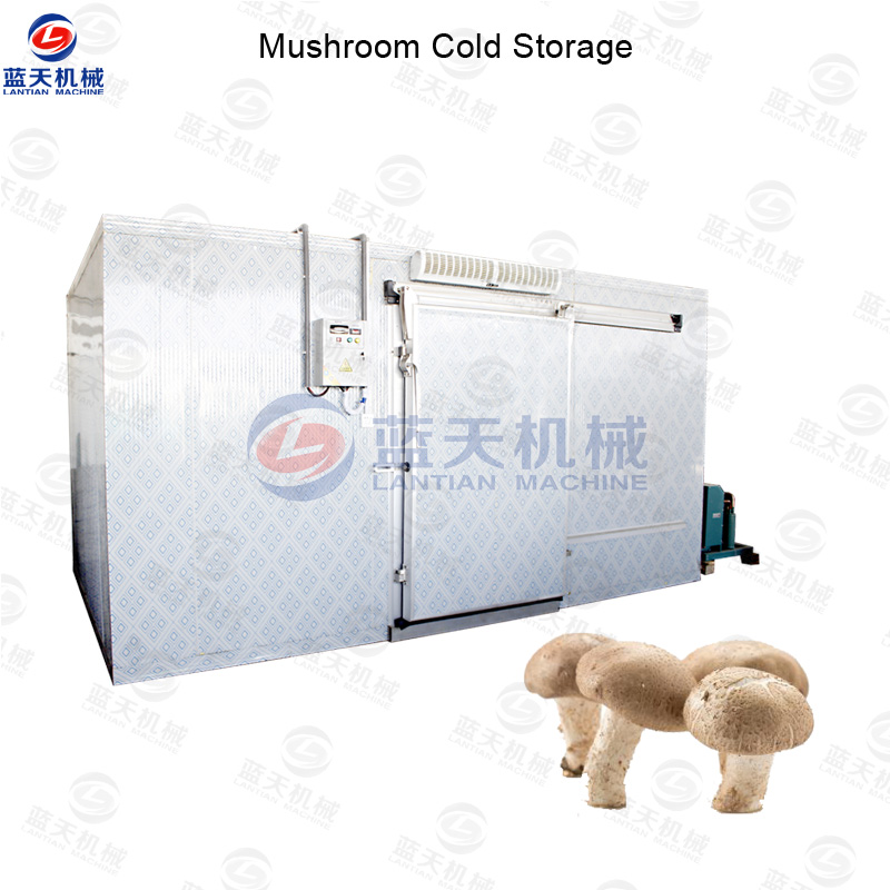 mushroom cold storage