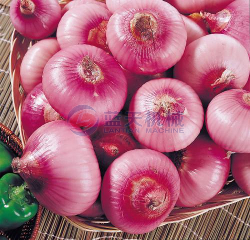 onion before slice