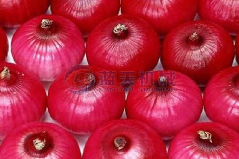 onion cold storage freezing effect