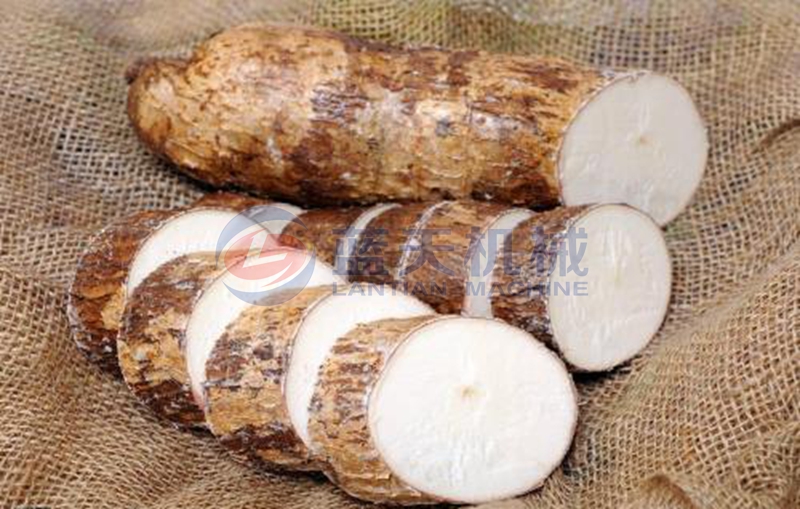 cassava after slice