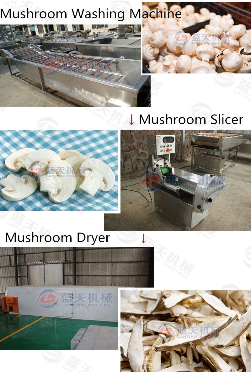 mushroom slicer grouped equipment
