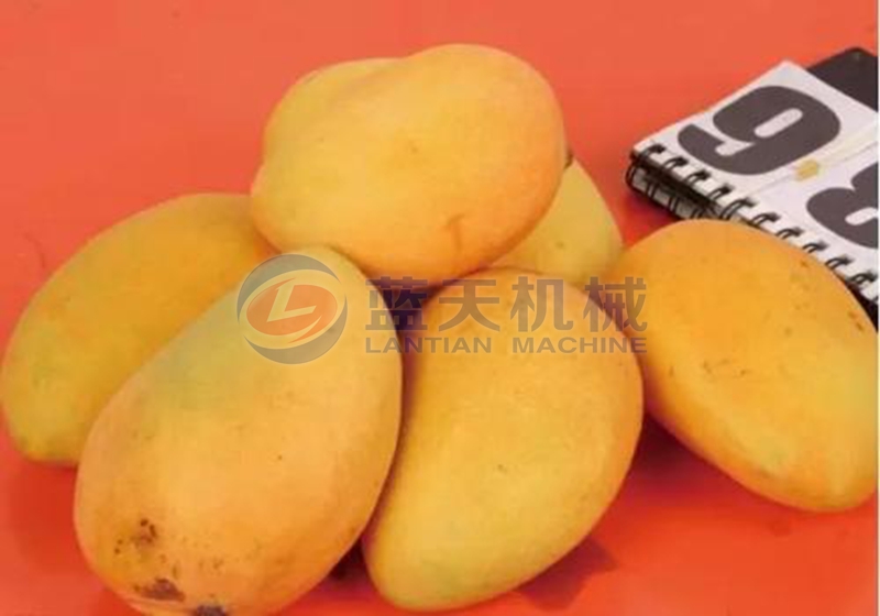 mango before slice