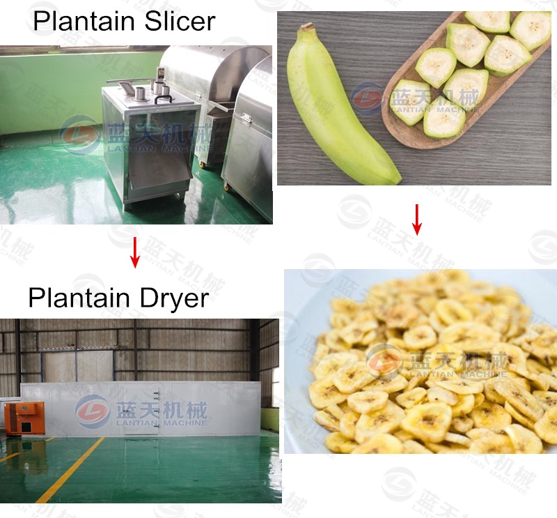 plantain slicer grouped equipment