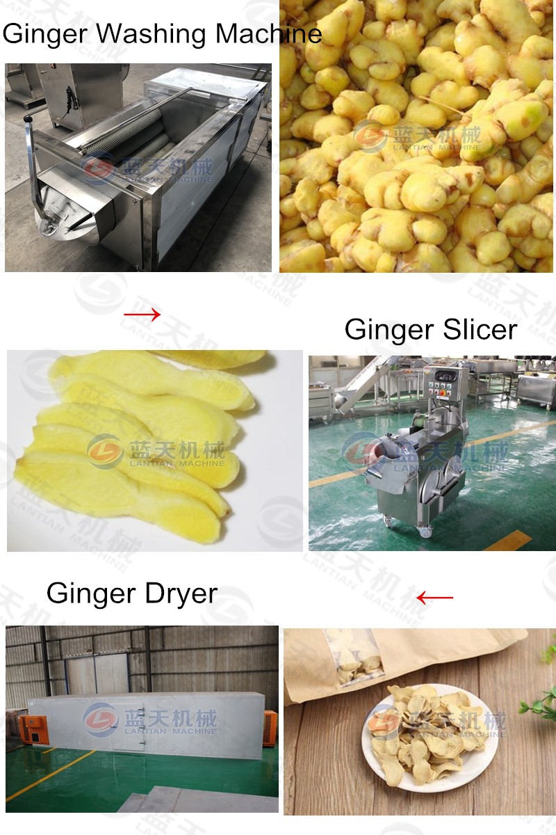 ginger slicer grouped equipment