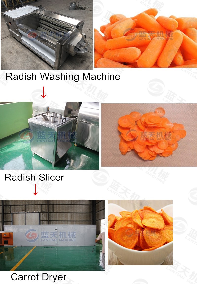carrot slicer grouped equipment