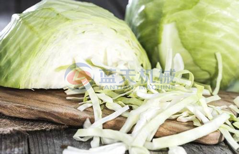 cabbage before slice