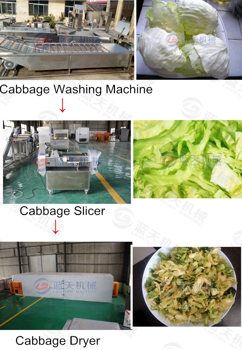 cabbage slicer grouped equipment