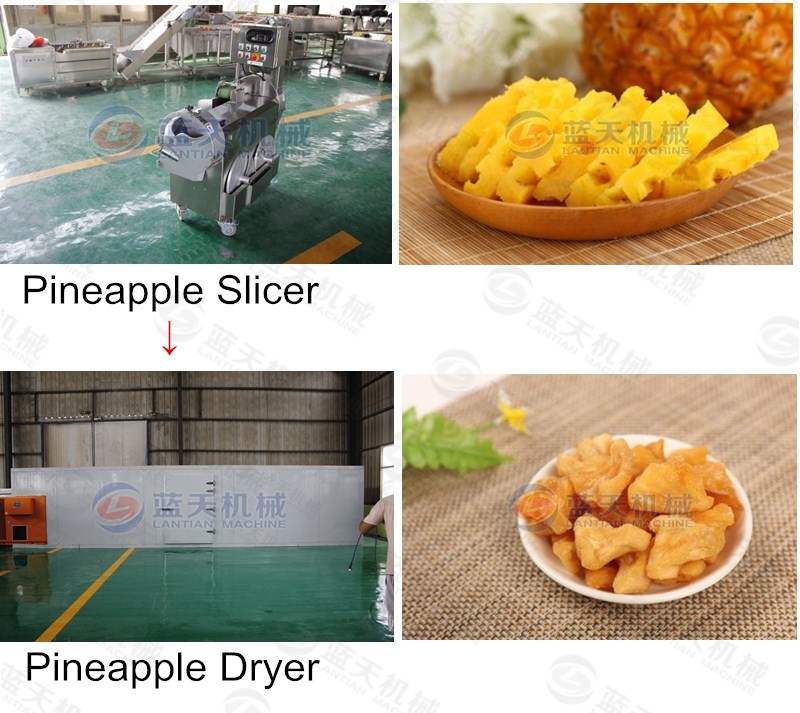pineapple slicer support equipment