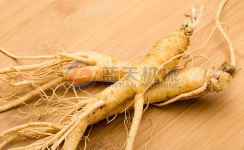 ginseng before slice