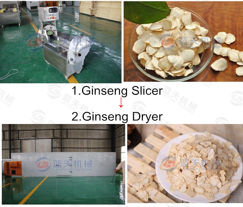 ginseng slicer production line