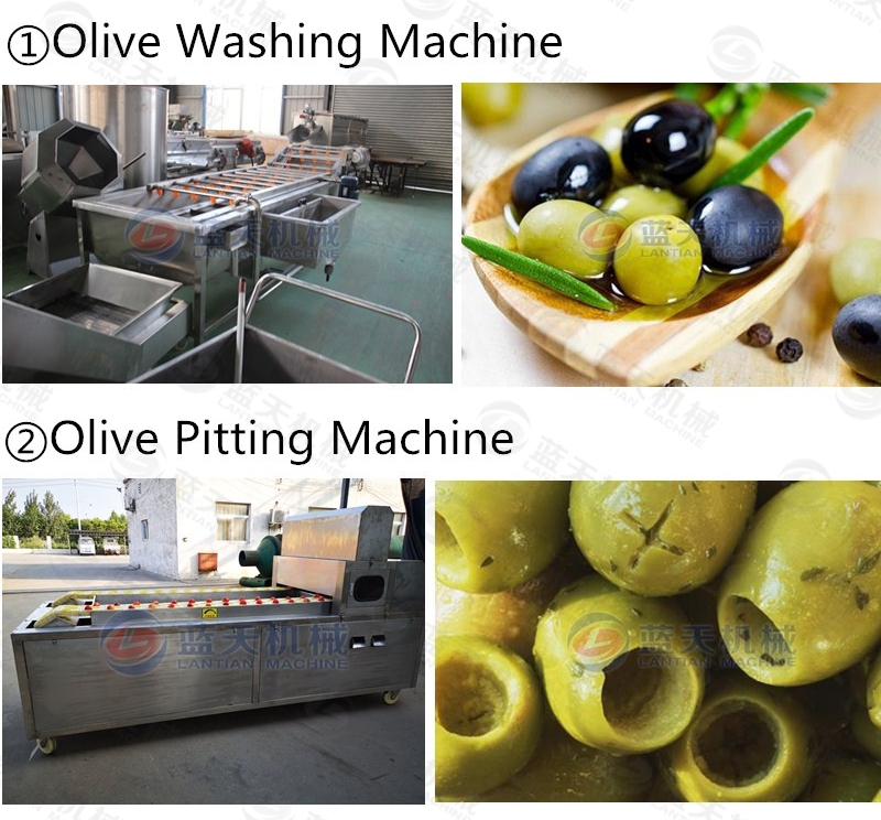 olive pitting machine support equipment 