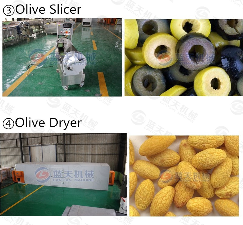 olive pitting machine support equipment 