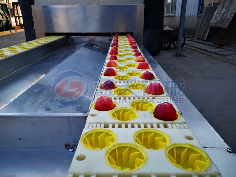 cherry pitting machine