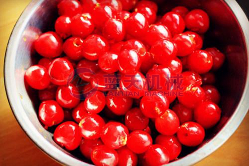 cherry pitting machine effect