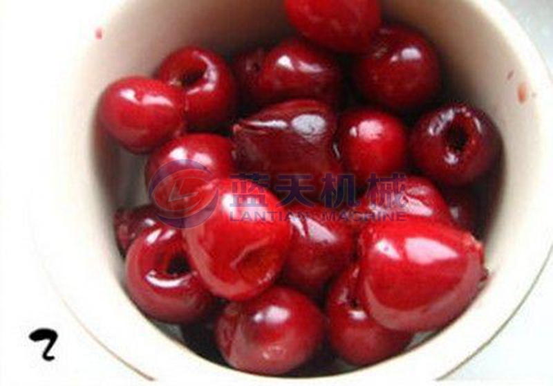 cherry pitting machine effect