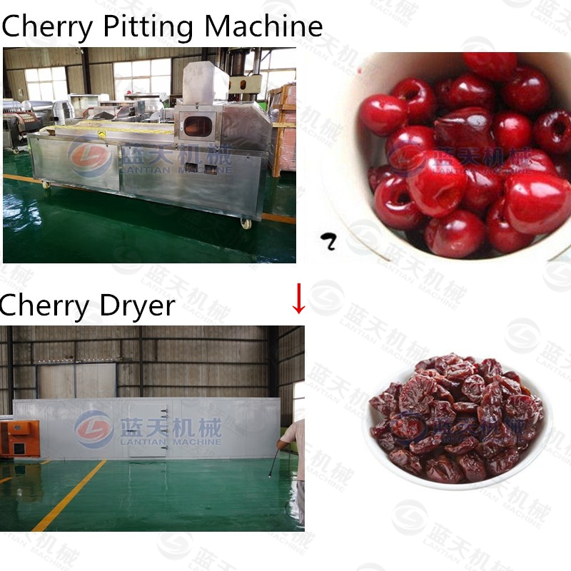 cherry pitting machine support equipment