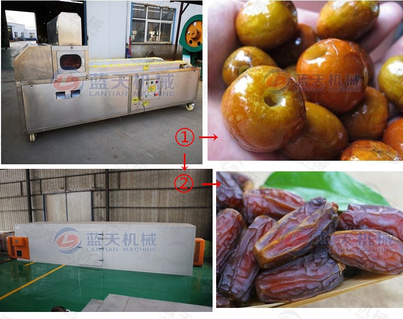 dates palm pitting machine support equipment