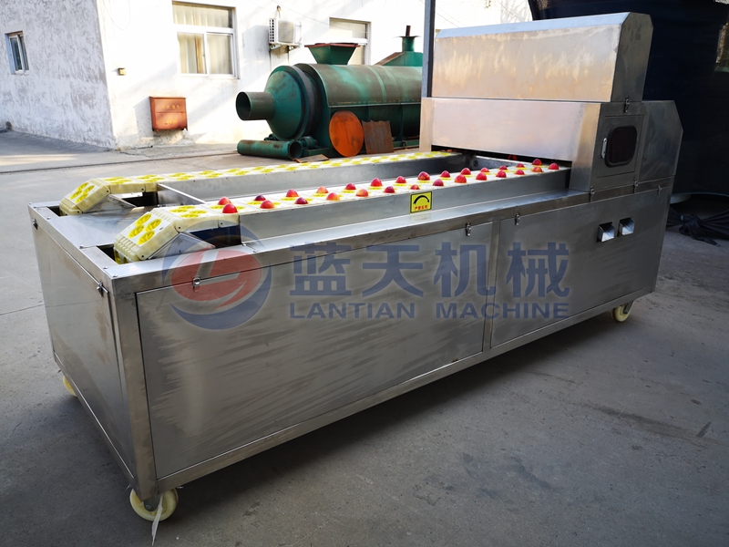 cherry pitting machine