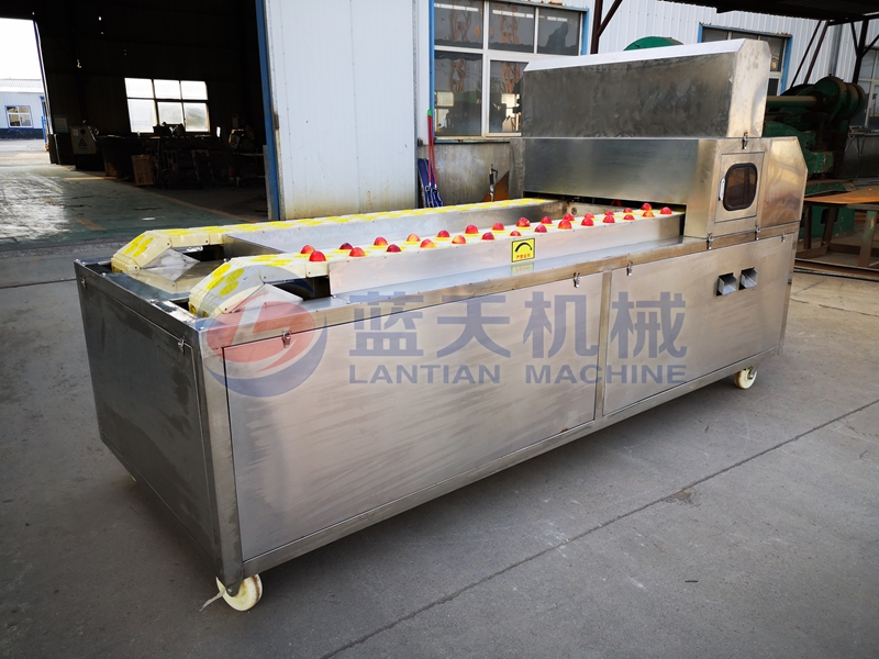 apricot pitting machine