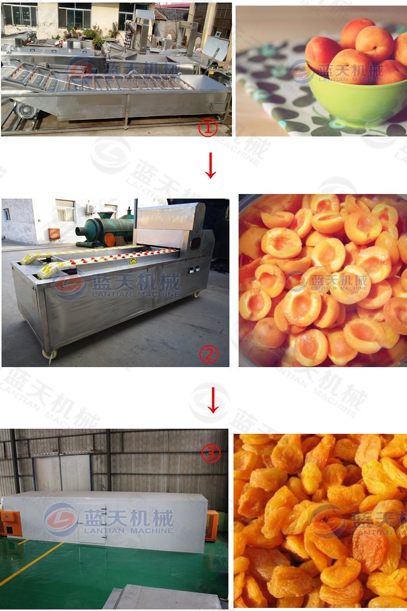 apricot pitting machine support equipment