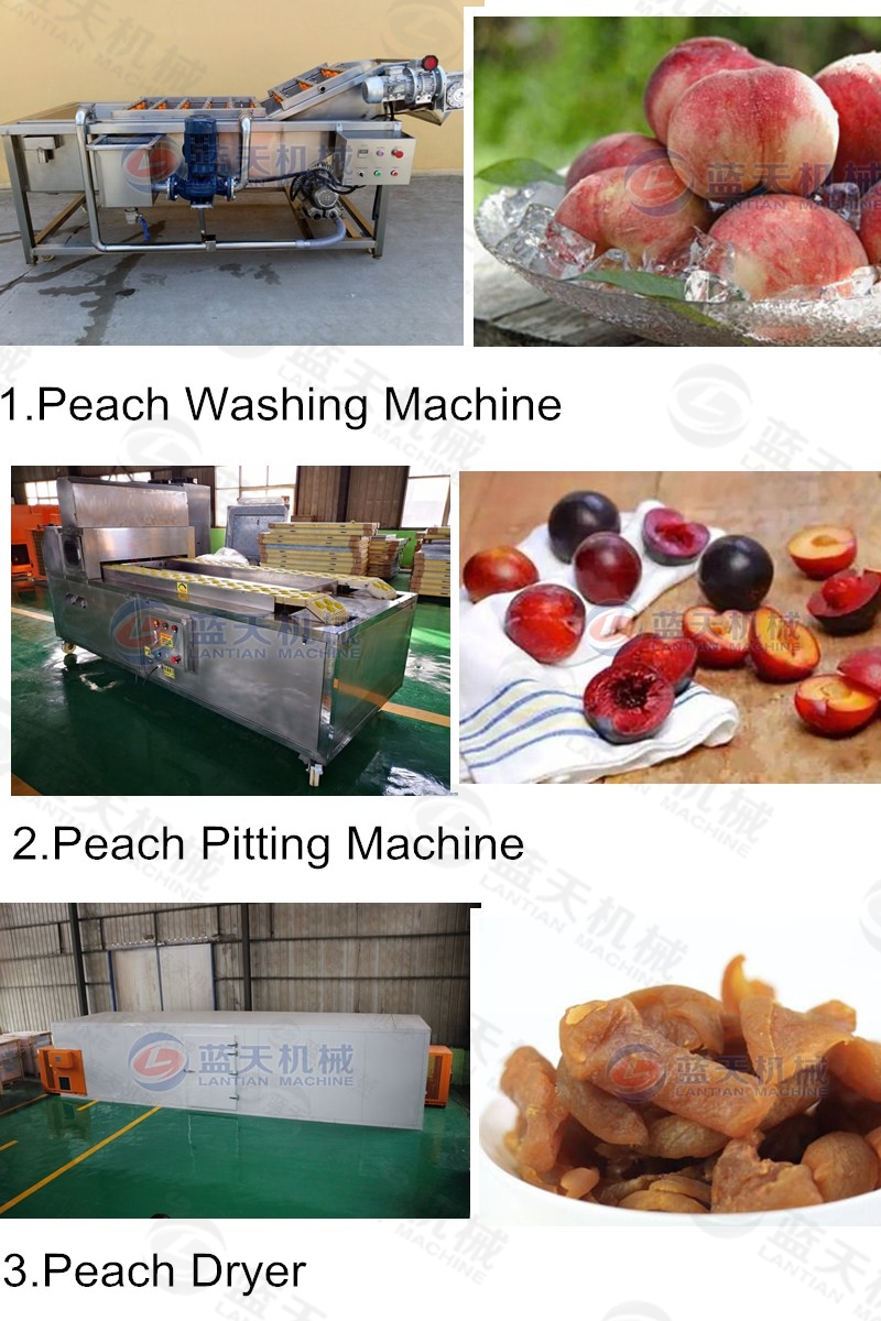 peach pitting machine support equipment